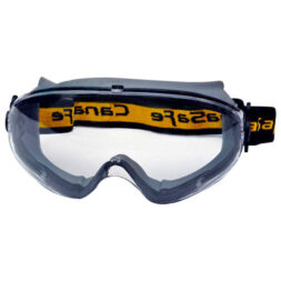 Goggles black